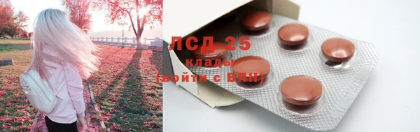 ECSTASY Алзамай