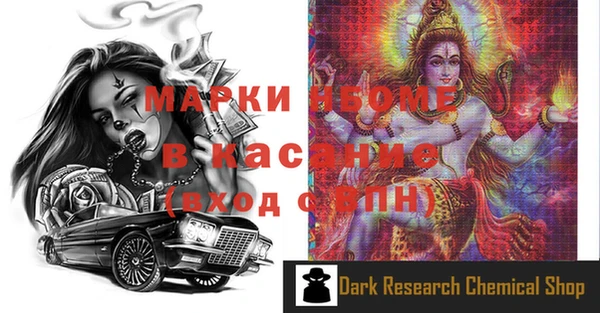 ECSTASY Алзамай
