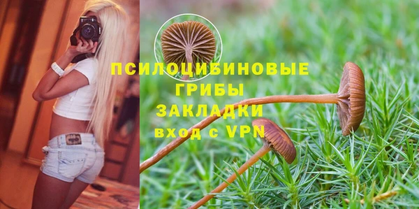 кокс Алексеевка