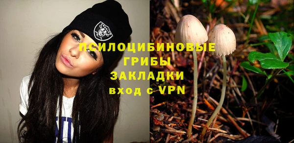 ECSTASY Алзамай