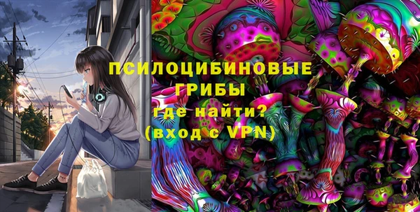 ECSTASY Алзамай